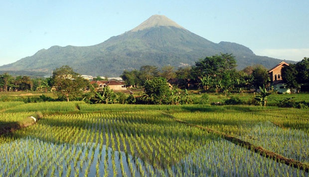 Pemandangan Desa Gempol